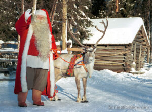 Photo: Santa Claus' favorite reindeer in Lapland photo