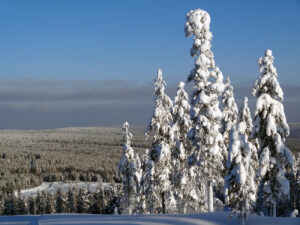 Winter view from the top of the Ritavaara Mountain in Pello in Finnish Lapland