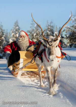 Father Christmas and reindeer in Lapland – home region of Santa Claus in Finland
