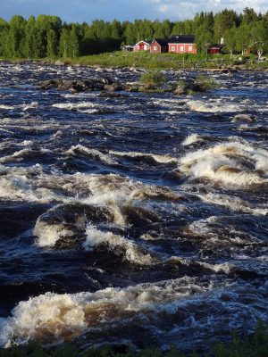 Kukkolankoski / Kukkolaforsen rapide dans la Vallée de la Rivière Tornio en Laponie