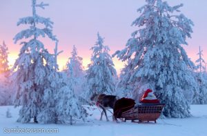 La corsa delle renne di Babbo Natale in Lapponia in Finlandia