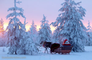 Le Père Noël en promenade avec son renne, sous le coucher de soleil de Laponie