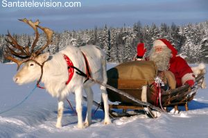 Le Père Noël entraînant son renne en Laponie apres Noël