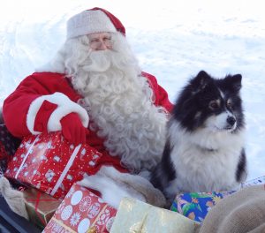 Weihnachtsmann und sein Rentierhund in Lappland