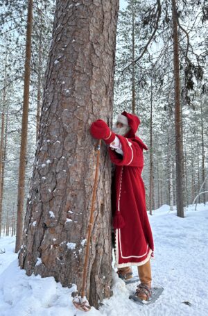 Santa Claus hugging the oldest tree of Lapland in Eeronpolku trail in Pello