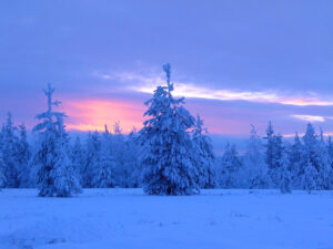Ambiance bleutée le soir à Rovaniemi en Laponie finlandaise