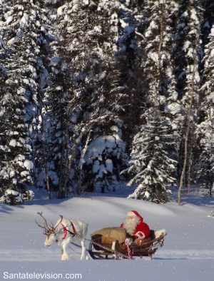 Le Père Noël faisant une course de renne dans la forêt en Laponie finlandaise.