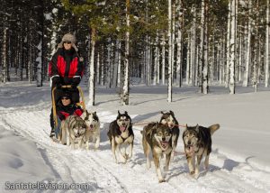 Safari en huskies en Laponie finlandaise