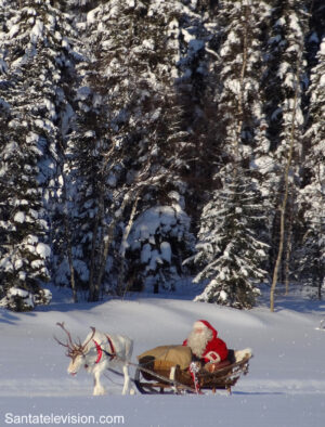 Papá Noel Santa Claus viajando en reno por los bosques de la Laponia finlandesa