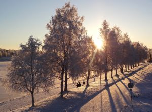 Début de l'hiver à Rovaniemi en Laponie finlandaise