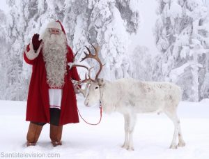 Le Père Noël et un de ses rennes dans la forêt en Laponie, Finlande