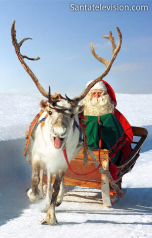 Promenade en renne du Père Noël en Laponie finlandaise