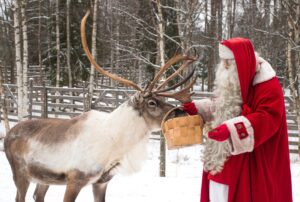 La Ferme de rennes du Père Noël à Rovaniemi, Laponie