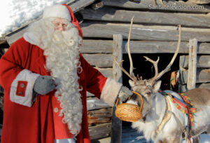 Die Rentiere vom Weihnachtsmann in Lappland – Der Nikolaus füttert seine Rentiere.