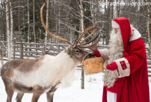 Papá Noel dando de comer a sus renos en la Aldea de Santa Claus en Laponia, Finlandia