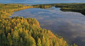 Hermoso paisaje en Rovaniemi en la Laponia finlandesa