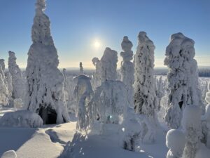 Paisaje invernal en Salla, Laponia finlandesa